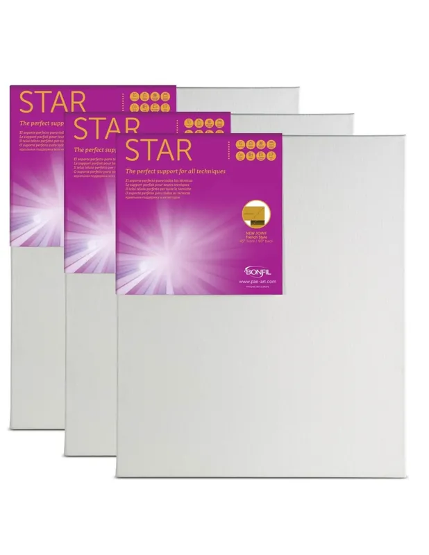 Económico BASTIDOR LOTE 10F X 3 TELA STAR 55X46 S 4.5 1.17