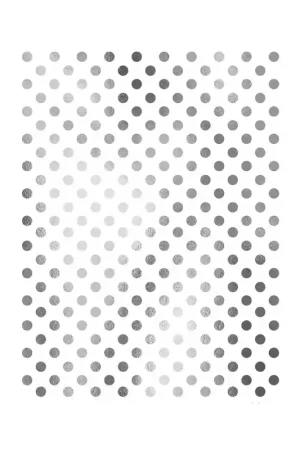 Solo Hoy PAPEL DE ARROZ PLATA 024