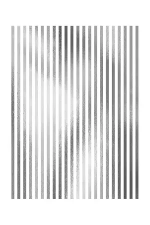 Mayoreo PAPEL DE ARROZ PLATA 025