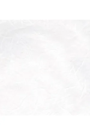 De Moda PAPEL DE ARROZ BLANCO