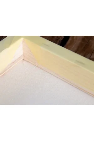 BASTIDOR COTTON CANVAS 100X100 45X19 PROFESIONA Moderno