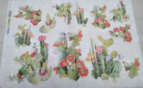 Oferta De Temporada PAPEL DE ARROZ CACTUS