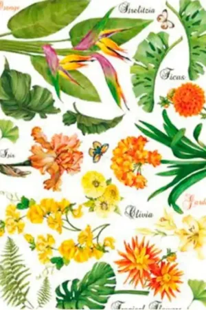 PAPEL DE ARROZ DGR313 Marca Reconocida