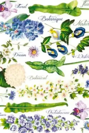 PAPEL DE ARROZ DGR312 Solo Por Tiempo Limitado