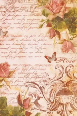 PAPEL DE ARROZ DGR175 Precio Bajo