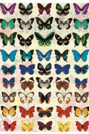 Original PAPEL DE ARROZ DGR171