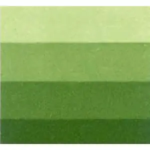 Stock Limitado Tinta Grabado Verde Medio Charbonnel, 60 ml. S.3