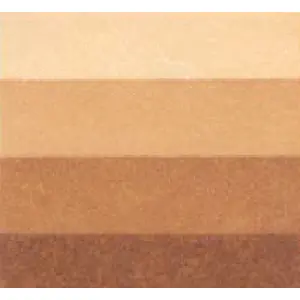 Pedido Al Por Mayor Tinta Grabado Tierra de Sombra Quemada Charbonnel, 60 ml. S.2