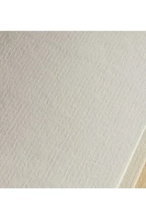Envío Gratis PAPEL INGRES GUARRO 108gr 70X100CM. CANSON