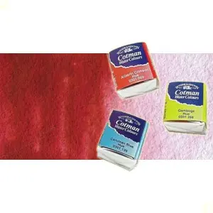 Stock Limitado Acuarela Cotman Winsor & Newton 1/2 godet color rosa permanente