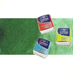 Rebajas Acuarela Cotman Winsor & Newton 1/2 godet color verde de Hooker claro