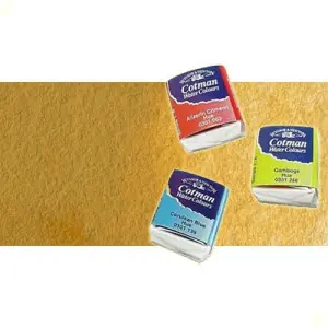 Acuarela Cotman Winsor & Newton 1/2 godet color ocre amarillo Certificado