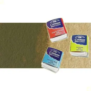 Barato Acuarela Cotman Winsor & Newton 1/2 godet color tierra natural