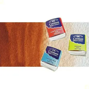 Envío Inmediato Acuarela Cotman Winsor & Newton 1/2 godet color siena tostada