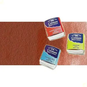 Disponible Ahora Acuarela Cotman Winsor & Newton 1/2 godet color rojo claro