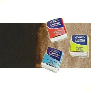 Descuento Acuarela Cotman Winsor & Newton 1/2 godet color tierra tostada