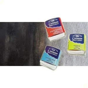 Acuarela Cotman Winsor & Newton 1/2 godet color sepia Venta Final