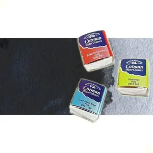 Acuarela Cotman Winsor & Newton 1/2 godet color gris de Payne Stock Limitado