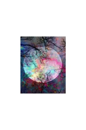 Envío Gratis PINTAR POR NÚMEROS PN832Y 40X50CM FIGURA "LUNA LLENA CON REFLEJOS DE COLORES"