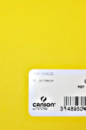 Última Versión CARTULINA IRIS Nº05 50 X 65CM