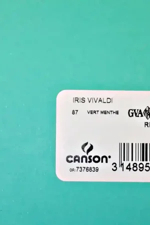 CARTULINA IRIS Nº87 50 X 65CM Entrega Rápida