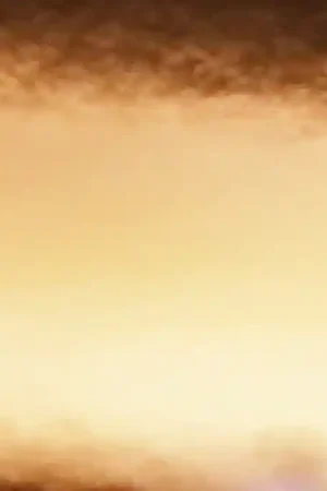 CARTULINA IRIS Nº39 50 X 65CM Últimas Unidades