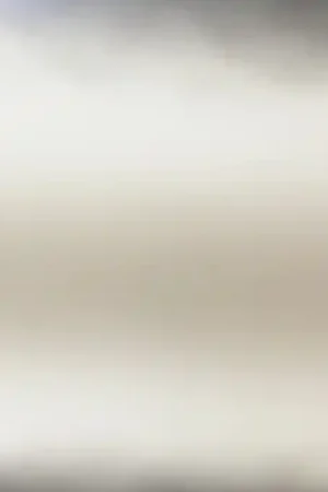 CARTULINA IRIS Nº40 50 X 65CM Pago Seguro