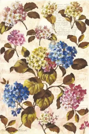 PAPEL DE ARROZ DGR 187 Popular