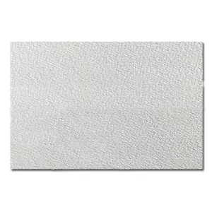 Promoción Exclusiva Acuarela Guarro, 240 gr., 100x70, Grano Medio