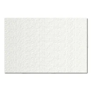 No Te Lo Pierdas Acuarela Guarro 240 gr., 50x70, Grano Fino