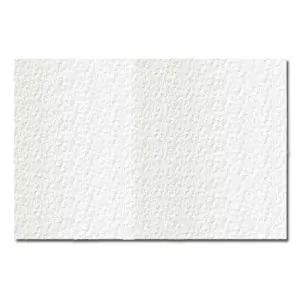 Acuarela Guarro, 240 gr., 50x70, Grano Grueso Compra Hoy