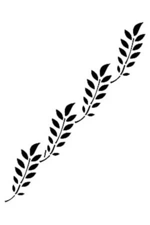 STENCIL K117, 6X20CM Económico