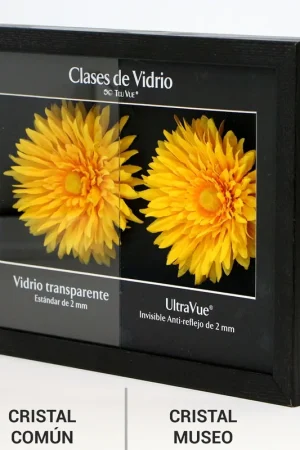 Compra Ahora CRISTAL MUSEO ARTGLASS 70