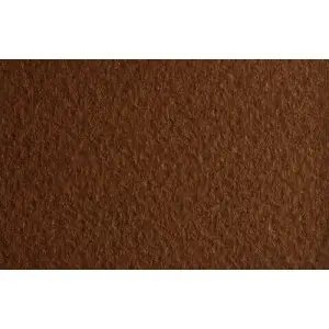 Papel para pastel Fabriano Tiziano, 160 gr., 50x65, Caffe * Bestseller