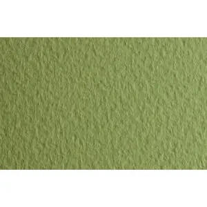 Rebajas Papel para pastel Fabriano Tiziano, 160 gr., 50x65, Verduzzo