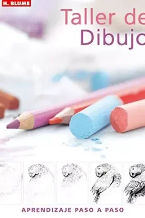 Aprendizaje paso a paso Taller de Dibujo 01 Barato