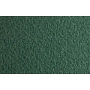 No Te Lo Pierdas Papel para pastel Fabriano Tiziano, 160 gr., 50x65, Salvia