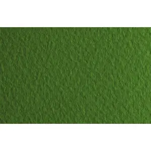 Garantía De Devolución De Dinero Papel para pastel Fabriano Tiziano, 160 gr., 50x65, Pistacchio