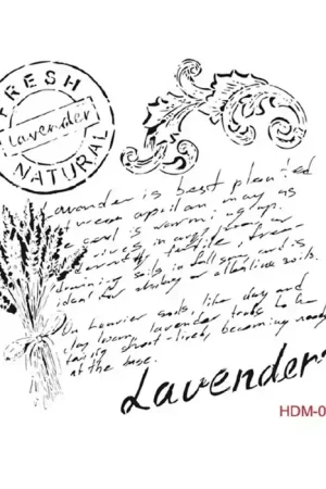 STENCIL HDM-02 25X25CM Precio De Fábrica