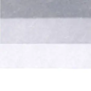 Precio Económico Tinta Grabado Laca blanca transparente Charbonnel, 200 ml.