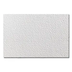 Nuevo Modelo Acuarela Arches, 300 gr., 56x76cm, Grano Grueso