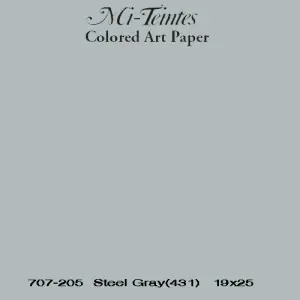 Mi-teintes Canson Gris Chine, 160 gr., 50x65 cm. (431) Venta Final