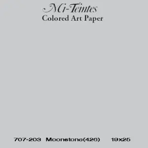 Artesanal Mi-teintes Canson Gris Claro, 160 gr., 50x65 cm. (426)