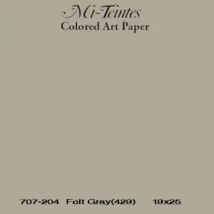 Mi-teintes Canson Gris Humo, 160 gr., 50x65 cm. (429) Hecho A Mano