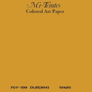 Descuento Mi-teintes Canson Salmon, 160 gr., 50x65 cm. (384)