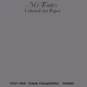 Mi-teintes Canson Gris Pizarra, 160 gr., 50x65 cm. (345) Máxima Calidad