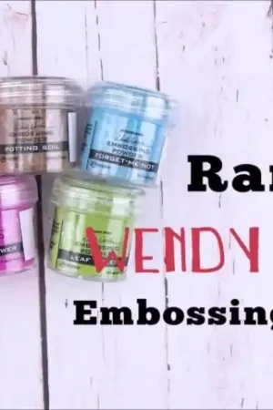 Polvos de embossing Wendy Vecchi Ranger Comprar En Línea