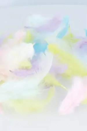 Plumas de colores Rainbow Mayoreo