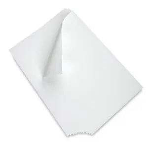 Plancha Poliester Litografia, 21x28 cm. De Moda