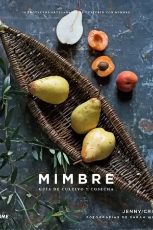 Mimbre 20 proyectos artesanales de cestería con mimbre Económico